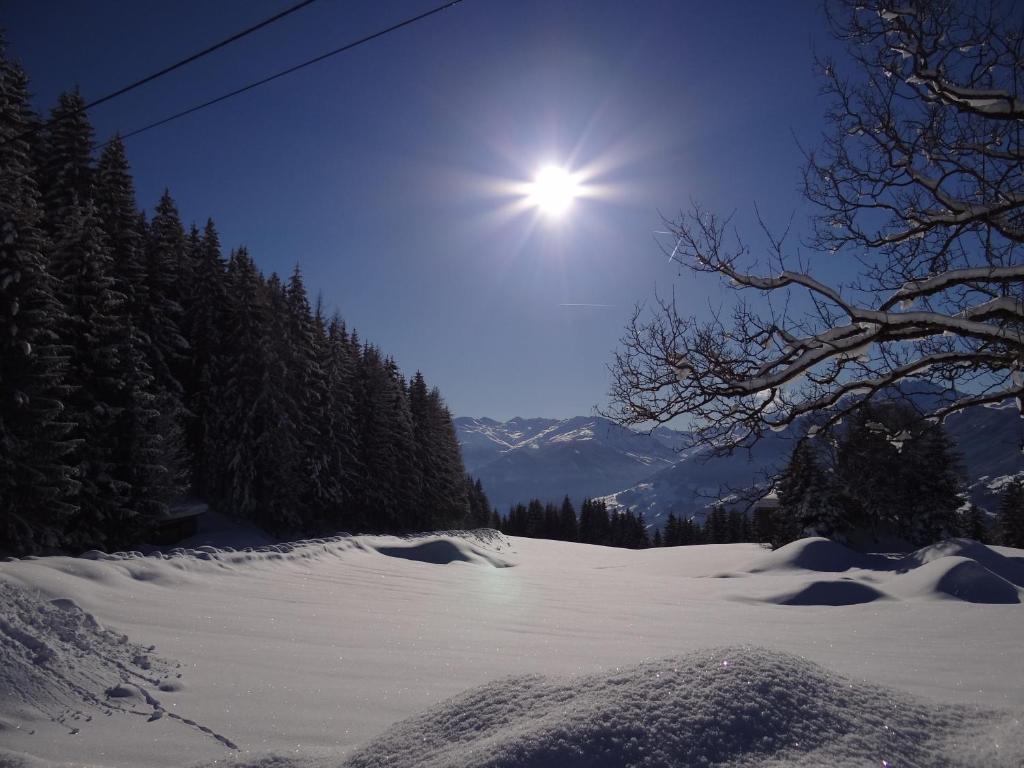 Das Sonnleiten Ski- Und Motorradhotel Bruck Im Zillertal Брук-ам-Циллер Экстерьер фото